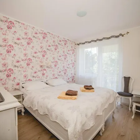 Homestay Willa Ludwik Spa & Wellness Debki