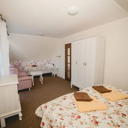 Willa Ludwik Spa & Wellness Homestay