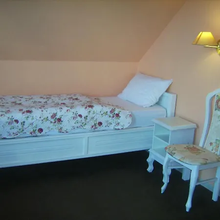 Willa Ludwik Spa & Wellness * Debki