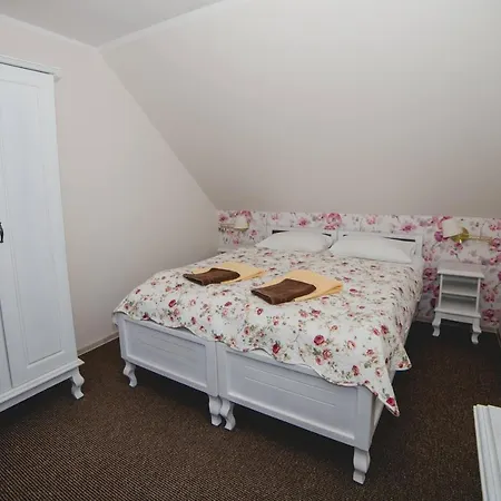 Willa Ludwik Spa & Wellness Homestay *