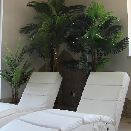 Ludwik & Wellness Kwatera prywatna *